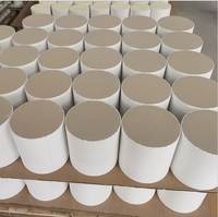 Parti del motore di scarico filtro antiparticolato Diesel catalizzatore ceramico substrato catalizzatore SCR filtro purificazione Gas