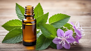 Pure Natural Patchouli Oil <b>Bulk</b> Exporter Pogostemon Cablin Essential Oil for Cosmetic Skincare Hair Care Aromatherapy Fragrance - Product Image 3