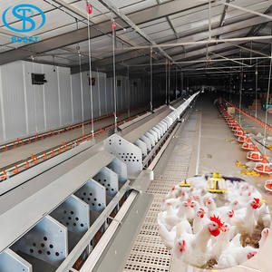 Gallinero de Acero Estilo Rústico para Cría de Pollos de Engorde en Granjas, Venta Caliente, 10000 Aves - Product Image 1