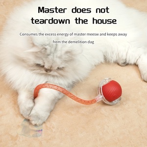 Wholesale Indoor <strong>Cat</strong> Interactive Ball <strong>Toy</strong> With Elastic Net Tail Automatic Moving Ball <strong>Toy</strong> Activation Electric <strong>Cat</strong> <strong>Toy</strong> - Product Image 3
