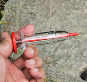 Jardins Mini <span class=keywords><strong>Semis</strong></span> et Plantation Outil Semoirs Plateau Semoirs <span class=keywords><strong>pour</strong></span> la culture des <span class=keywords><strong>semis</strong></span> de colza - Product Image 4