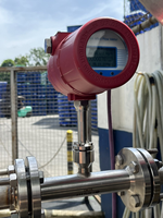 Medidor de Flujo Másico de Gas Térmico Digital, Tipo de Inserción/Brida, RS485 Modbus, 4-20mA, Acero Inoxidable, para Aire/Gas Natural/CO2/N2