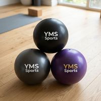 Pelota de Ejercicio de PVC Antiexplosión, Suave, Gruesa y Lisa de 25 cm para Pilates, Gimnasio y Fisioterapia
