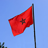 Drapeau du Maroc personnalisé avec logo professionnel, fabrication directe d'usine Nuoxin, 3*5, promotion, drapeau national