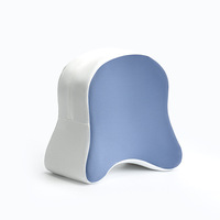 Coussin Ergonomique en Mousse à Mémoire de Forme pour Genoux, Idéal pour Dormeurs Latéraux, Sangle Réglable, Soutien des Jambes, Soulagement des Douleurs Articulaires de la Hanche, Amovible
