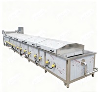 Beste Prijs Hoge Efficiëntie 304 Roestvrijstalen Frites En Aardappelchips Blancheermachine Voor Fruit-En Groenteverwerking
