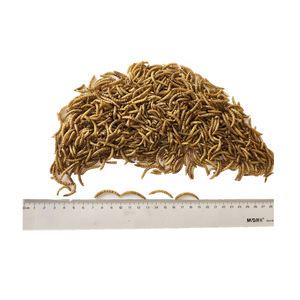 <span class=keywords><strong>Insectes</strong></span> <span class=keywords><strong>comestibles</strong></span> en gros, vers de farine séchés, nourriture pour animaux, supervers - Product Image 5