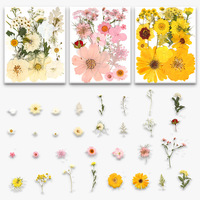 Assortiment de 15 fleurs séchées pressées pour la fabrication de bougies parfumées, les sceaux de cire et la décoration de savons artisanaux