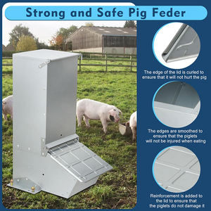 Alimentatore JH-Mech suini per suinetti con materiali aggiornati, alimentatore automatico per suini in acciaio inossidabile - Product Image 2