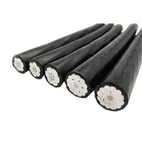 Câble blindé en acier IEC 60228 AL/PVC/STA/XLPE