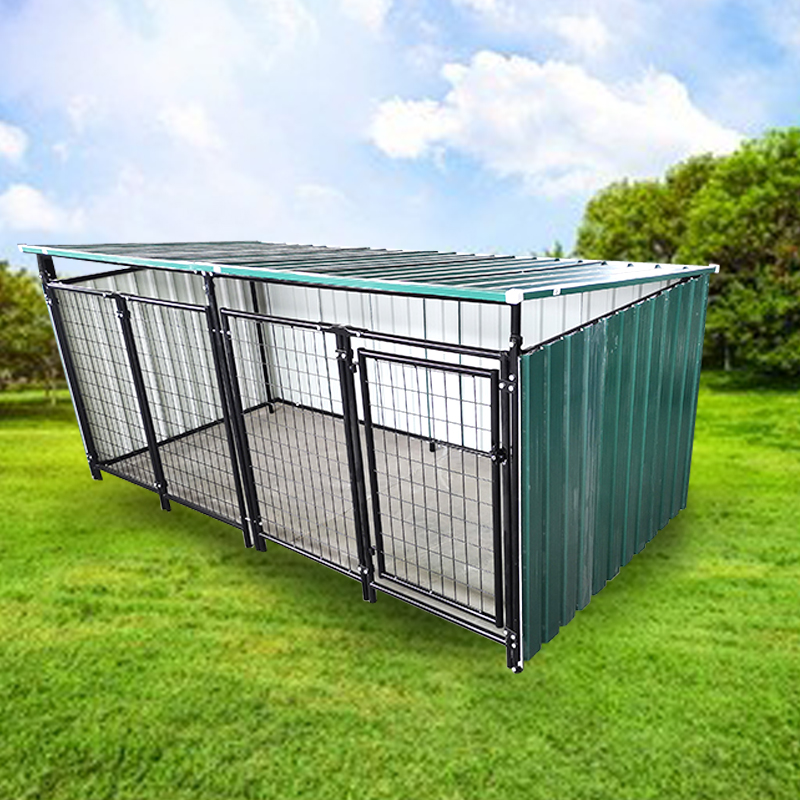 Hond Kennels Kooien Grote Zware Outdoor Outdoor Hond Kooi Kennel Hek Hondenkennel Grote