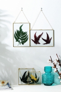 Marco de vidrio doble para marcos de fotos colgantes de flores prensadas foto flor prensada herbario decoración de pared flotador marco colgante - Product Image 5