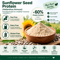 Poudre de protéines de graines de tournesol sans soja, sans produits laitiers, sans gluten, végétalienne, protéines végétales pour compléments alimentaires, distributeur de marque, non-OGM