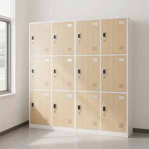 Nouvelle Armoire de Rangement Extérieure Moderne Écologique, Imperméable et Ignifuge en Forme de Z, Épaisseur 12 mm, pour Salles de Sport, Hôpitaux, Appartements et Maisons - Product Image 2