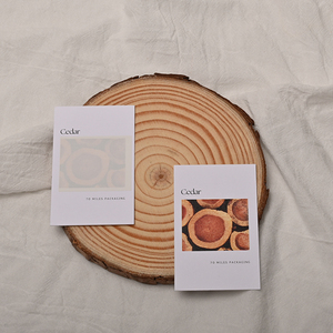 Probador de impresión de imágenes Papel Perfume Agua Revelar Secante Tinta invisible Revelar Tira - Product Image 2