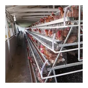 Home Poultry Farm for Chicken House Filled With Galvanized Chicken Cage 96 / 160 Birds Chicken Farm Animal Poultry Cage