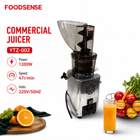 Koude Pers Sapcentrifuge voor Fruit en Groenten, RVS, met Afvalafscheiding, voor Horeca
