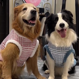 Chaqueta Gruesa y Cálida para Perros Grandes, Ropa de Invierno de Dos Patas para Golden Retrievers, Huskies y Samoyeds, Venta al Por Mayor - Product Image 3