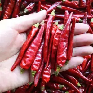 ZZH wholesale spice pepper dried red chilli