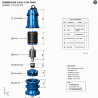 Pompe submersible à flux axial haute pression SUBEAST WQ en acier inoxydable, moteur triphasé AC380V, raccord à bride, personnalisable HP