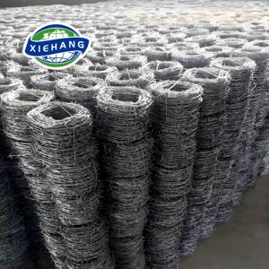 Alambre de púas de hierro, precio por metro, rollo de importación, bobina de acero recubierto de caucho, 50 kg, alambre de púas tipo Y, personalizado, duradero - Product Image 3