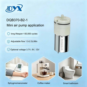 Pompa d'Aria Compatta 3v 4.5v 6v 12v, Produttore OEM - Product Image 3
