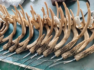 Lustre en <span class=keywords><strong>bois</strong></span> <span class=keywords><strong>de</strong></span> <span class=keywords><strong>cerf</strong></span> <span class=keywords><strong>de</strong></span> campagne d'Europe pour le dessus <span class=keywords><strong>de</strong></span> table <span class=keywords><strong>de</strong></span> la salle à manger Rectangulaire Grand <span class=keywords><strong>cerf</strong></span> en résine Suspension Vintage Suspension Lumineuse - Product Image 5