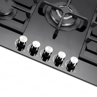 Cuisinière multifonctionnelle professionnelle en fonte, encastrable, électrique, à gaz, manuelle, à piles, à cinq brûleurs, avec surface en verre, ignifuge