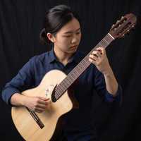 High Glossy Spruce Top Rosewood Nylon String High Quality Performance Stage Guitar with Pickup Classic Guitar OEM