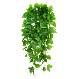 Ces années fugitives Plante artificielle de Pothos en vigne 30cm-100cm, Vigne de soie verte pour décoration intérieure et arrangement floral - Product Image 5
