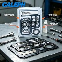 Le kit de joints de révision moteur haute performance CALEPH est spécialement conçu pour les moteurs diesel de camions et de bus lourds MAN Euro 6.
