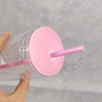 Gobelets en plastique transparent de 16 oz pour globe à neige, en acrylique à double paroi, pré-percés, avec couvercles colorés et paille, entrepôt américain