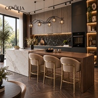 OPPOLIA : Service de Rénovation et Conception de Cuisine Personnalisée Tout-en-un, Ensemble d'Armoires, Îlot de Cuisine avec Appareils Intégrés et Réfrigérateur à Vin