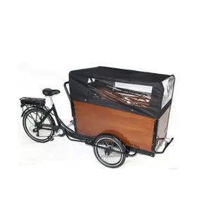 Atacado amazon triciclo elétrico-Amazon quadro de alumínio para bicicletas, barato, 3 rodas, família, bicicletas de estrada, carga elétrica, triciclo para vários fins, venda imperdível