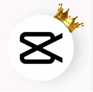 Licence logicielle CapCut Pro 2026 la plus récente, compte CapCut Pro, édition vidéo, <span class=keywords><strong>abonnement</strong></span> CapCut 1 AN - Product Image 2