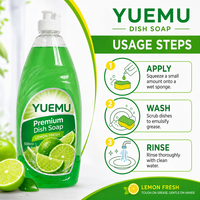 Liquide vaisselle au citron frais 500 ml, efficace contre la graisse, doux pour les mains, marque privée, OEM, vente en gros, détergent à vaisselle