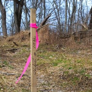 Meilleure vente 0.78 ''x 200 'PVC FLUORESCENT bleu foncé vert rubans de marquage chasse piste drapeau rouleau de ruban pour le marquage des zones dangereuses - Product Image 1