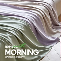 Parure de lit quatre pièces en fibre de bambou antibactérienne, sensation de luxe léger, housse de couette et draps couleur unie, été