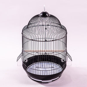 Cage à oiseaux ronde en fil d'acier avec plateau en plastique, cage d'intérieur suspendable pour petits oiseaux, style simple, couleur unie - Product Image 6