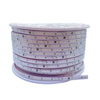 Bande LED SMD AC 220V 2835 120 LED/m 8mm PCB PVC IP Autre 100m/rouleau 3500K-6000K Blanc naturel Étanche Extérieur Flexible