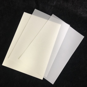 Película PET Mate de <span class=keywords><strong>125</strong></span> Micrones para Impresión de Pantalla, Película Transparente para Hacer Placas de Serigrafía, Directo de Fábrica - Product Image 5