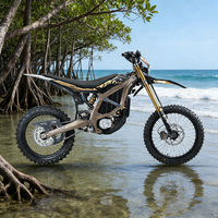 Meilleur Prix 2026 74V 24.5kW 95km/h Desert Mountain Racing Chargeur Rapide 2026 Ultra Bee