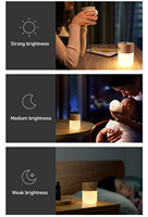 2024 baru ramah lingkungan DC Putih abu kayu hitam Walnut katalis minyak pembakar aroma lampu aromaterapi Dimmable lampu malam