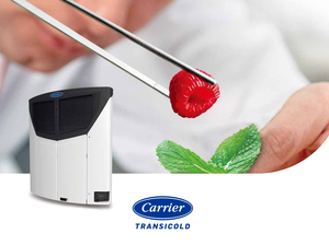 캐리어 벡터 HE 19 트레일러 냉동기 - Product Image 5