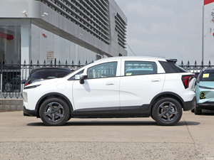 Géométrie E vente en gros, haute qualité, <span class=keywords><strong>location</strong></span>, Charge <span class=keywords><strong>rapide</strong></span>, Auto, batterie électrique privée, prix bon marché, <span class=keywords><strong>voiture</strong></span> électrique - Product Image 5