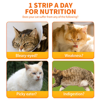 Vente en gros OEM 16g Barres de friandises liquides pour chat au saumon et au thon, nourrissantes, enrichissantes, au lait naturel, aliments humides crémeux