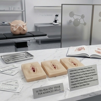 Modelo Avanzado de Entrenamiento para Sutura de Episiotomía con Incisiones Medianas Izquierda y Derecha para Enseñanza Obstétrica CE