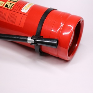 Poudre chimique sèche <span class=keywords><strong>ABC</strong></span> Portable, brumisateur, 5kg, ISO:9001 steet12 CN;ZHE 12bar 25bar, 4.5kg 9.5kg - Product Image 6