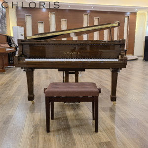 Piano à queue acoustique Chloris en bois de noyer, modèles Hg158wa Hg-158wa - Product Image 5