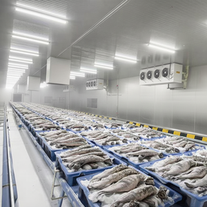 Offre Spéciale Chambre Froide Industrielle Commerciale Congélateur Grande Chambre Froide de Stockage - Product Image 1